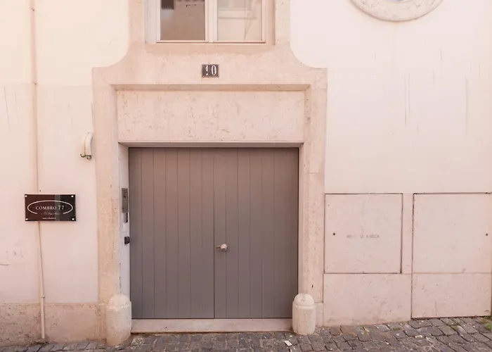 Flh S Bento Minimalist Luminous Flat *